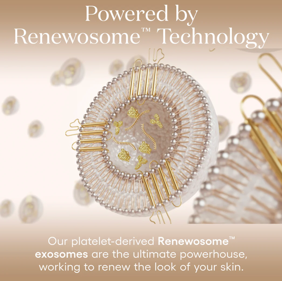 Plated Intense Serum Refill